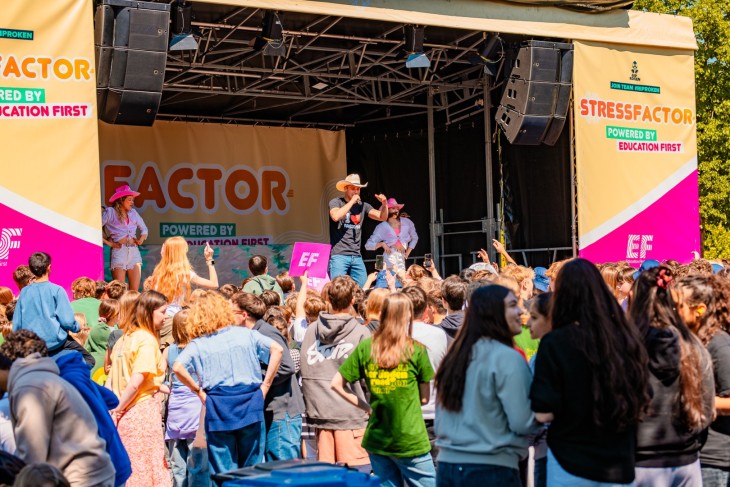 Stressfactor
